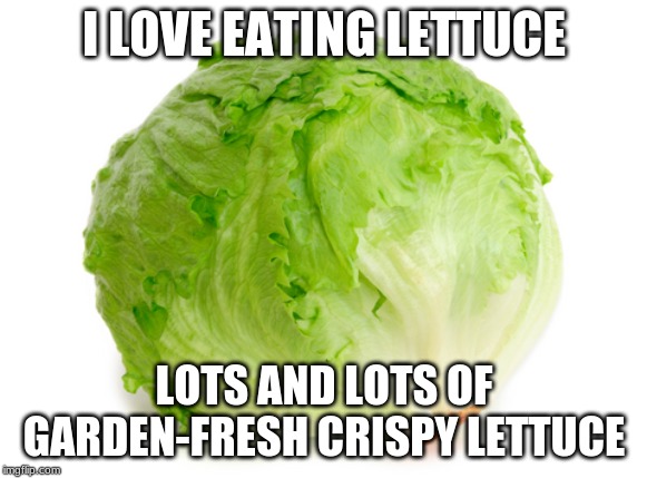 Lettuce  | I LOVE EATING LETTUCE; LOTS AND LOTS OF GARDEN-FRESH CRISPY LETTUCE | image tagged in lettuce | made w/ Imgflip meme maker