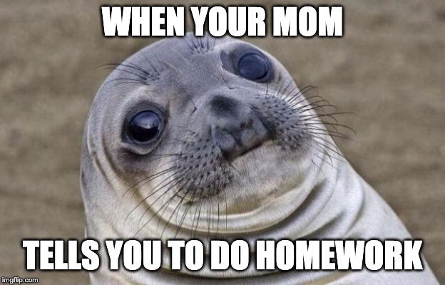 Awkward Moment Sealion Meme | WHEN YOUR MOM; TELLS YOU TO DO HOMEWORK | image tagged in memes,awkward moment sealion | made w/ Imgflip meme maker
