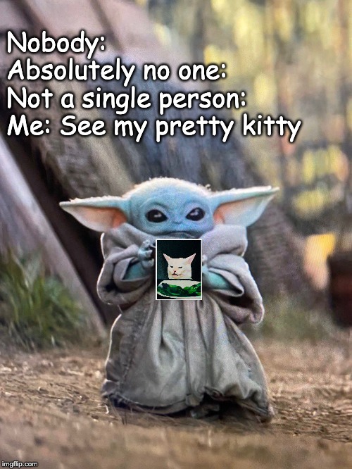 BABY YODA TEA | Nobody:
Absolutely no one:
Not a single person:
Me: See my pretty kitty | image tagged in baby yoda tea | made w/ Imgflip meme maker