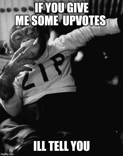 smoking monkey  | IF YOU GIVE ME SOME  UPVOTES ILL TELL YOU | image tagged in smoking monkey | made w/ Imgflip meme maker