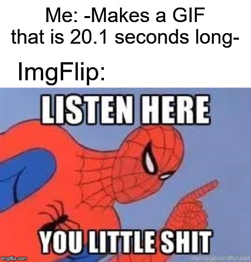 Apparently your GIF can only be 20.0 seconds long. Gee, thanks ImgFlip. | Me: -Makes a GIF that is 20.1 seconds long-; ImgFlip: | image tagged in now listen here you little shit,imgflip,gif,memes | made w/ Imgflip meme maker