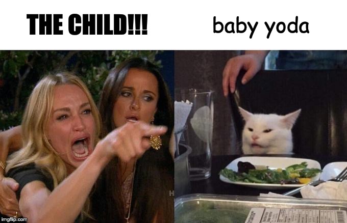 Woman Yelling At Cat | THE CHILD!!! baby yoda | image tagged in memes,woman yelling at cat | made w/ Imgflip meme maker