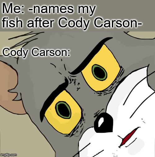 I did name my Betta Fish Cody after him. | Me: -names my fish after Cody Carson-; Cody Carson: | image tagged in memes,unsettled tom,cody,fish | made w/ Imgflip meme maker