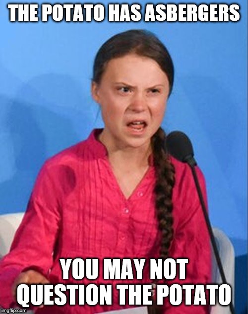 Any criticism at all and you're DISRESPECTING THE HANDICAPPED! How dare you! | THE POTATO HAS ASBERGERS; YOU MAY NOT QUESTION THE POTATO | image tagged in greta thunberg how dare you,funny memes,politics,global warming,stupid liberals | made w/ Imgflip meme maker