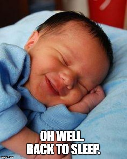 sleeping baby laughing | OH WELL.  BACK TO SLEEP. | image tagged in sleeping baby laughing | made w/ Imgflip meme maker
