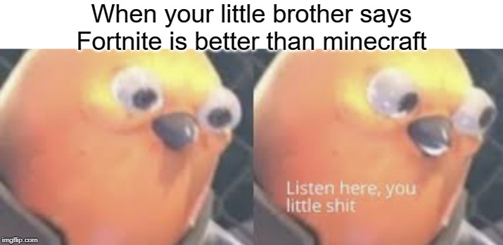 not it's not | When your little brother says Fortnite is better than minecraft | image tagged in listen here you little shit bird,funny,memes,minecraft,fortnite,little brother | made w/ Imgflip meme maker