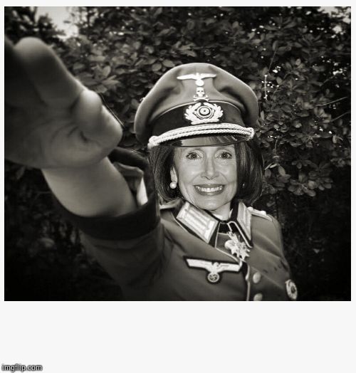 Nazi Pelosi | image tagged in nazi pelosi | made w/ Imgflip meme maker