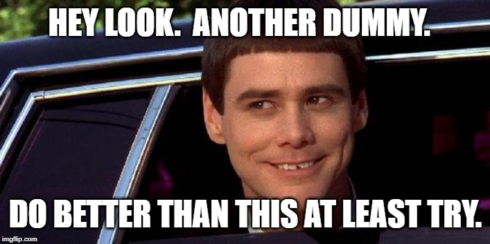 dumb and dumber | HEY LOOK.  ANOTHER DUMMY. DO BETTER THAN THIS AT LEAST TRY. | image tagged in dumb and dumber | made w/ Imgflip meme maker