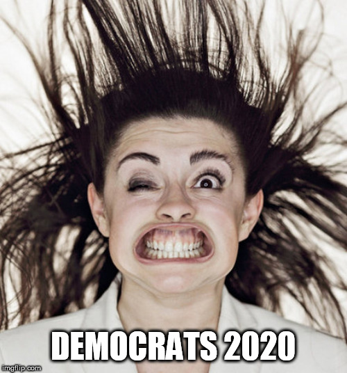 democrat | DEMOCRATS 2020 | image tagged in democrat | made w/ Imgflip meme maker