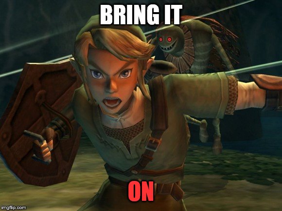 Link Legend of Zelda Yelling | BRING IT ON | image tagged in link legend of zelda yelling | made w/ Imgflip meme maker