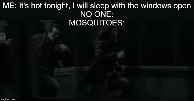 Snatchers Meme | ME: It's hot tonight, I will sleep with the windows open
NO ONE:
MOSQUITOES: | image tagged in scabior,snatchers,harry potter,mosquitoes | made w/ Imgflip meme maker