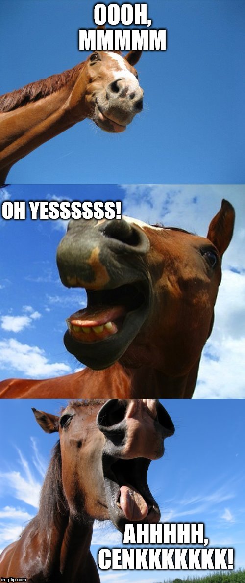 Just Horsing Around | OOOH, MMMMM; OH YESSSSSS! AHHHHH, CENKKKKKKK! | image tagged in just horsing around,memes,politics | made w/ Imgflip meme maker