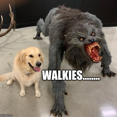 Good dog scary dog | WALKIES........ | image tagged in good dog scary dog | made w/ Imgflip meme maker