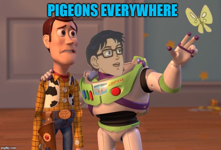 X, X Everywhere | PIGEONS EVERYWHERE | image tagged in memes,x x everywhere | made w/ Imgflip meme maker