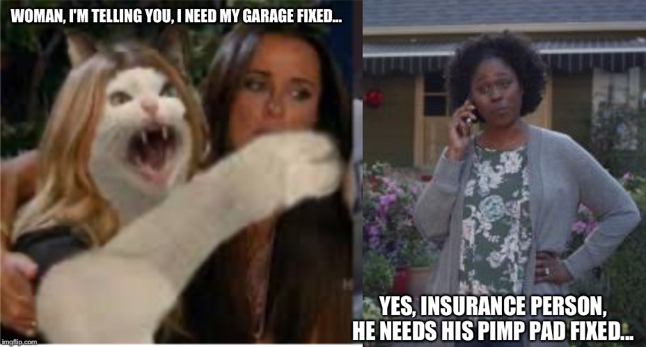 WOMAN, I'M TELLING YOU, I NEED MY GARAGE FIXED... YES, INSURANCE PERSON, HE NEEDS HIS PIMP PAD FIXED... | image tagged in funny | made w/ Imgflip meme maker