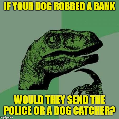 Philosorobber | IF YOUR DOG ROBBED A BANK; WOULD THEY SEND THE POLICE OR A DOG CATCHER? | image tagged in memes,philosoraptor,dog,bank robber,money | made w/ Imgflip meme maker