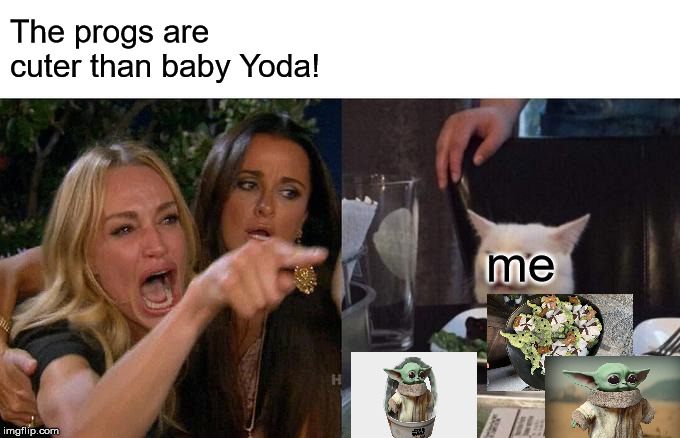 Woman Yelling At Cat Meme | The progs are cuter than baby Yoda! me | image tagged in memes,woman yelling at cat | made w/ Imgflip meme maker
