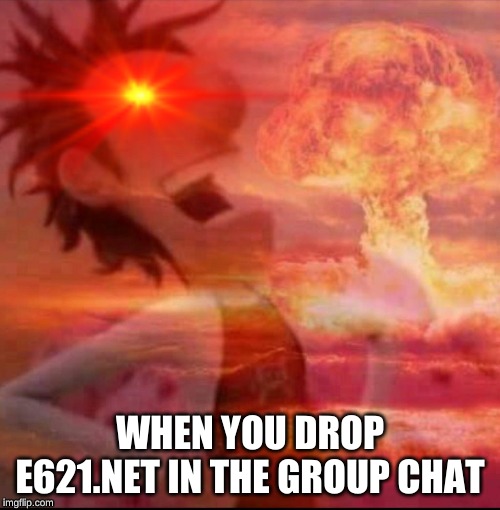WHEN YOU DROP E621.NET IN THE GROUP CHAT | image tagged in furry | made w/ Imgflip meme maker