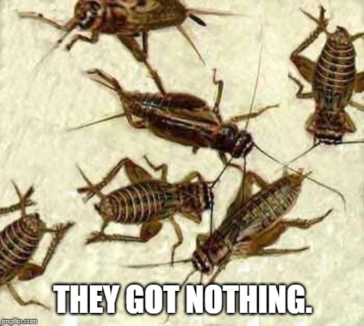 Crickets | THEY GOT NOTHING. | image tagged in crickets | made w/ Imgflip meme maker