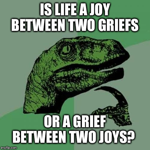 Pessimistic vs optimistic | IS LIFE A JOY BETWEEN TWO GRIEFS; OR A GRIEF BETWEEN TWO JOYS? | image tagged in memes,philosoraptor,funny | made w/ Imgflip meme maker