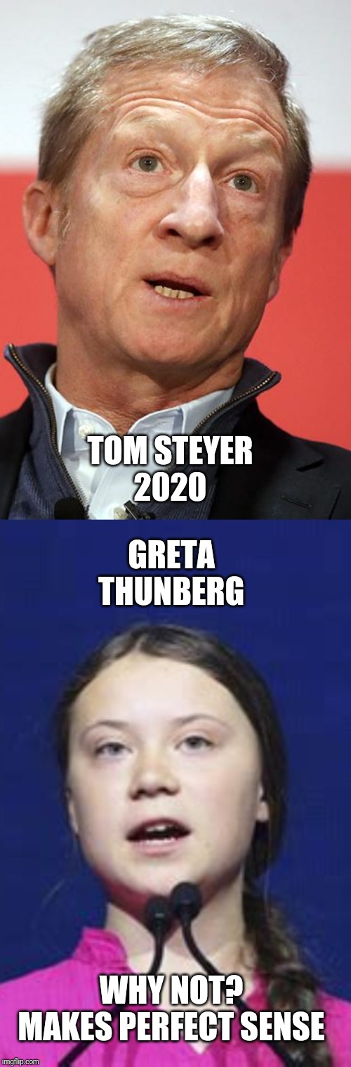 Perfect Democrat ticket for 2020 | GRETA THUNBERG; TOM STEYER
2020; WHY NOT?
MAKES PERFECT SENSE | image tagged in climate change | made w/ Imgflip meme maker