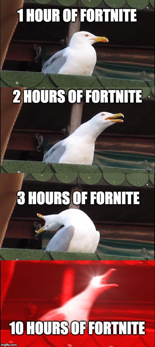 Inhaling Seagull Meme | 1 HOUR OF FORTNITE; 2 HOURS OF FORTNITE; 3 HOURS OF FORNITE; 10 HOURS OF FORTNITE | image tagged in memes,inhaling seagull | made w/ Imgflip meme maker