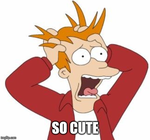 Fry Freaking Out | SO CUTE | image tagged in fry freaking out | made w/ Imgflip meme maker