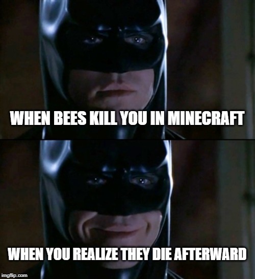Batman Smiles | WHEN BEES KILL YOU IN MINECRAFT; WHEN YOU REALIZE THEY DIE AFTERWARD | image tagged in memes,batman smiles | made w/ Imgflip meme maker