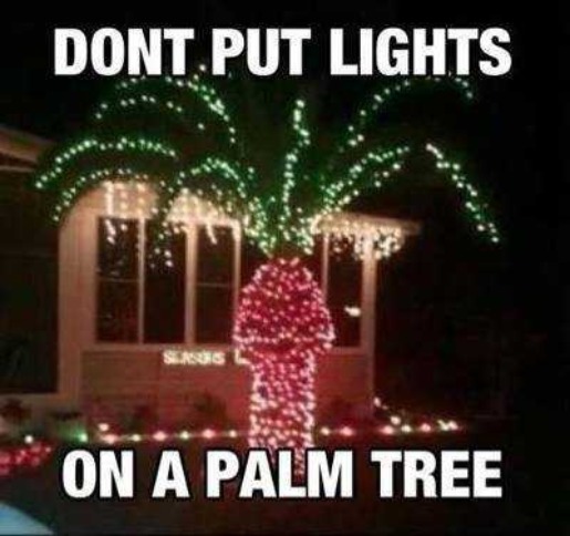 NEVER put Christmas lights on a palm tree! | image tagged in crazy christmas lights,christmas lights,palm tree,jizz in my pants,jerking off,funny | made w/ Imgflip meme maker