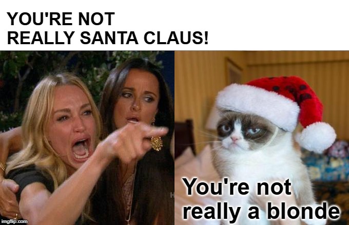 Woman Yelling at Santa | YOU'RE NOT REALLY SANTA CLAUS! You're not really a blonde | image tagged in funny memes,woman yelling at cat,grumpy cat christmas,funny cat memes,cat,grumpy cat | made w/ Imgflip meme maker