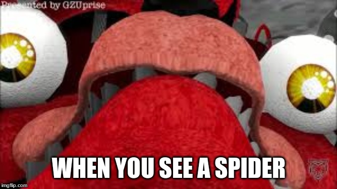 foxy | WHEN YOU SEE A SPIDER | image tagged in foxy | made w/ Imgflip meme maker