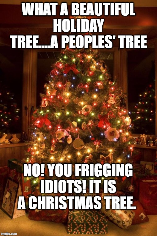 Christmas Tree | WHAT A BEAUTIFUL HOLIDAY TREE....A PEOPLES' TREE; NO! YOU FRIGGING IDIOTS! IT IS A CHRISTMAS TREE. | image tagged in christmas tree | made w/ Imgflip meme maker