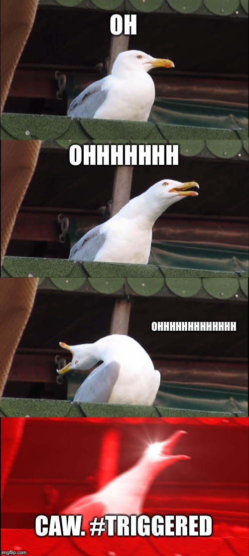 Inhaling Seagull | OH; OHHHHHHH; OHHHHHHHHHHHHH; CAW. #TRIGGERED | image tagged in memes,inhaling seagull | made w/ Imgflip meme maker