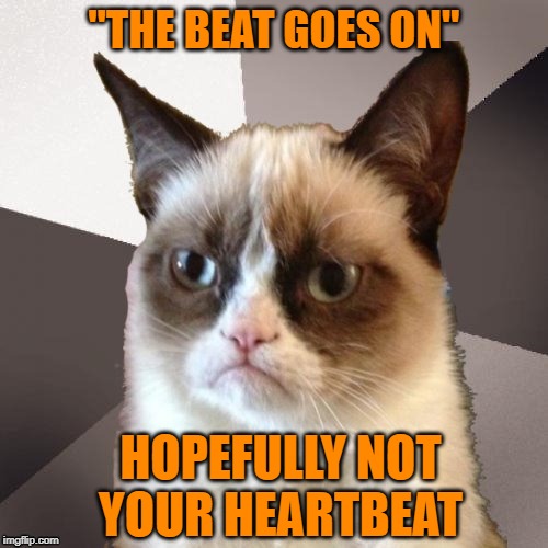Musically Malicious Grumpy Cat | "THE BEAT GOES ON"; HOPEFULLY NOT YOUR HEARTBEAT | image tagged in musically malicious grumpy cat,grumpy cat,cat,meme,sonny and cher | made w/ Imgflip meme maker