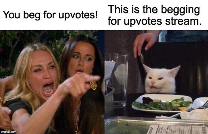 Woman Yelling At Cat Meme | You beg for upvotes! This is the begging for upvotes stream. | image tagged in memes,woman yelling at cat | made w/ Imgflip meme maker