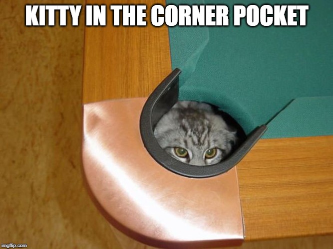 Feline Billards Anyone? | KITTY IN THE CORNER POCKET | image tagged in funny cat | made w/ Imgflip meme maker