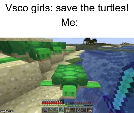 kill dem turtles (actually just kidding | Vsco girls: save the turtles! Me: | image tagged in save,funny,memes,minecraft,vsco,girl | made w/ Imgflip meme maker