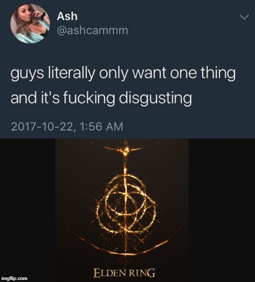 image tagged in guys literally only want one thing and it's fucking disgusting,Eldenring | made w/ Imgflip meme maker