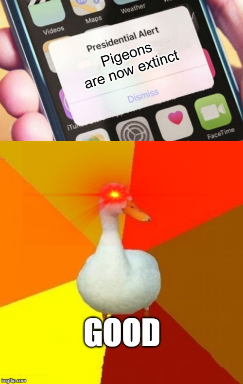 GOOD | Pigeons are now extinct; GOOD | image tagged in memes,tech impaired duck,presidential alert,funny,pigeons,good | made w/ Imgflip meme maker