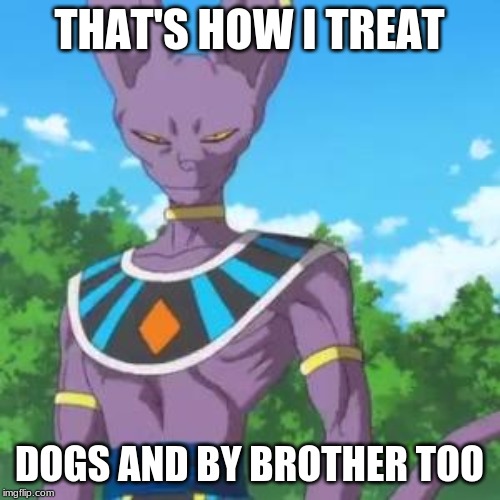 Lord Beerus | THAT'S HOW I TREAT DOGS AND BY BROTHER TOO | image tagged in lord beerus | made w/ Imgflip meme maker