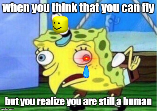 Mocking Spongebob Meme | when you think that you can fly; but you realize you are still a human | image tagged in memes,mocking spongebob | made w/ Imgflip meme maker