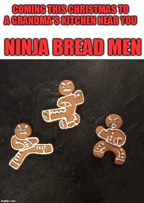 When Grandma knows you love kung-fu movies... | COMING THIS CHRISTMAS TO A GRANDMA'S KITCHEN NEAR YOU; NINJA BREAD MEN | image tagged in gingerbread man,gingerbread,ninjas,christmas,cookies,memes | made w/ Imgflip meme maker
