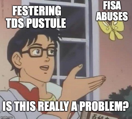 Is This A Pigeon | FISA ABUSES; FESTERING TDS PUSTULE; IS THIS REALLY A PROBLEM? | image tagged in memes,is this a pigeon | made w/ Imgflip meme maker