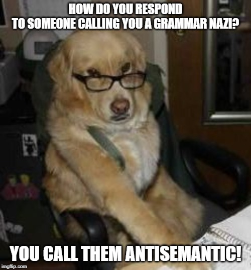 smart dog |  HOW DO YOU RESPOND TO SOMEONE CALLING YOU A GRAMMAR NAZI? YOU CALL THEM ANTISEMANTIC! | image tagged in smart dog | made w/ Imgflip meme maker