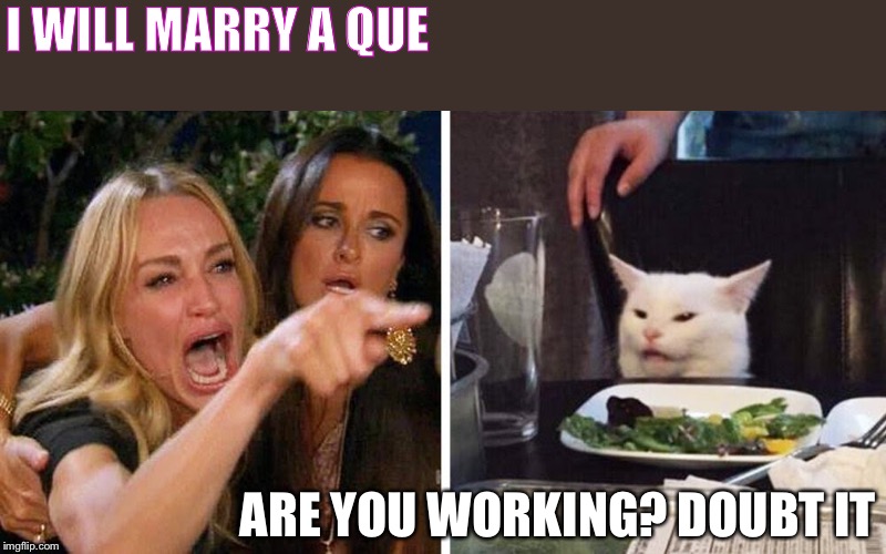 Smudge the cat |  I WILL MARRY A QUE; ARE YOU WORKING? DOUBT IT | image tagged in smudge the cat | made w/ Imgflip meme maker