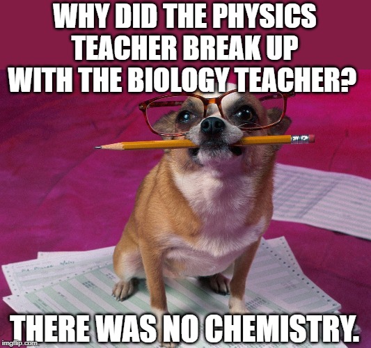 smart dog | WHY DID THE PHYSICS TEACHER BREAK UP WITH THE BIOLOGY TEACHER? THERE WAS NO CHEMISTRY. | image tagged in smart dog | made w/ Imgflip meme maker