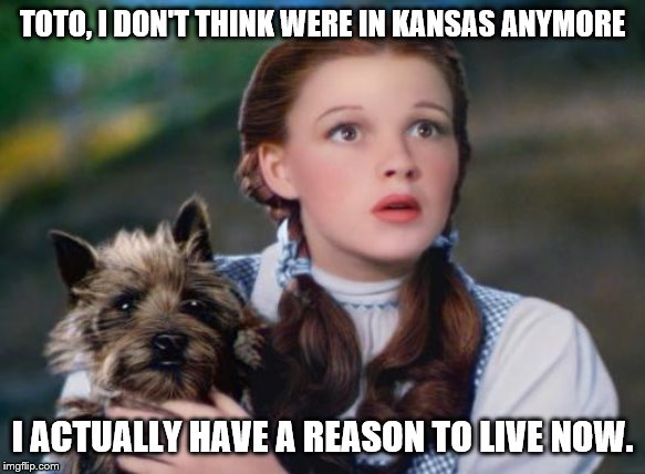 Toto Wizard of Oz | TOTO, I DON'T THINK WERE IN KANSAS ANYMORE; I ACTUALLY HAVE A REASON TO LIVE NOW. | image tagged in toto wizard of oz | made w/ Imgflip meme maker