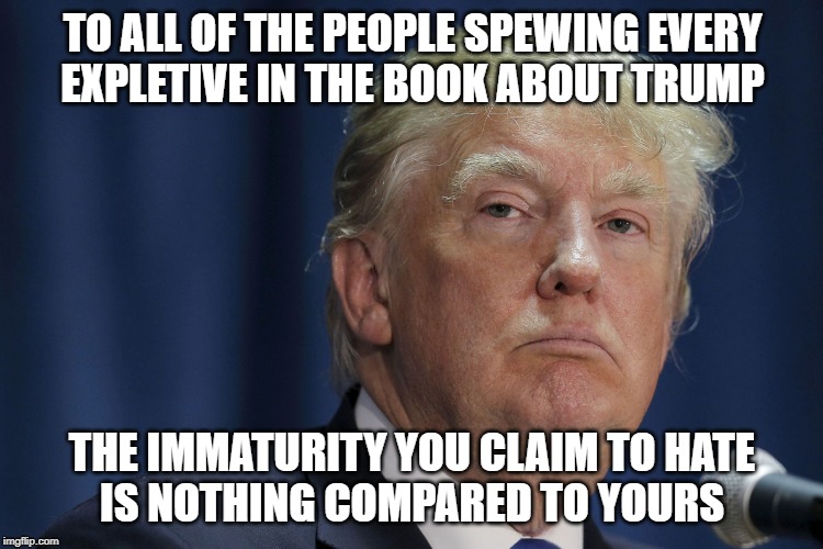 DJT | TO ALL OF THE PEOPLE SPEWING EVERY
EXPLETIVE IN THE BOOK ABOUT TRUMP; THE IMMATURITY YOU CLAIM TO HATE
IS NOTHING COMPARED TO YOURS | image tagged in djt | made w/ Imgflip meme maker