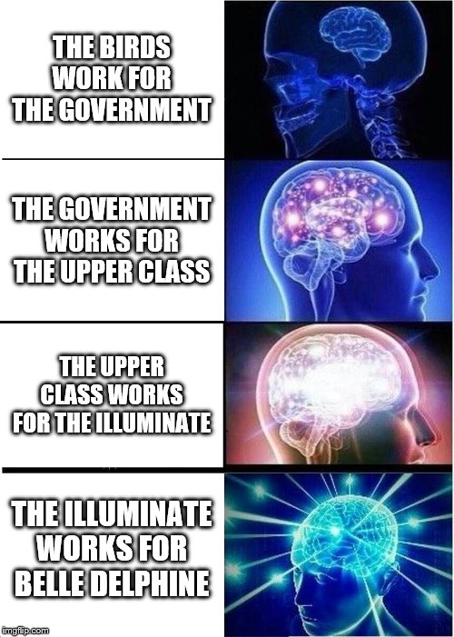 Expanding Brain | THE BIRDS WORK FOR THE GOVERNMENT; THE GOVERNMENT WORKS FOR THE UPPER CLASS; THE UPPER CLASS WORKS FOR THE ILLUMINATE; THE ILLUMINATE WORKS FOR BELLE DELPHINE | image tagged in memes,expanding brain | made w/ Imgflip meme maker