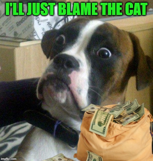 I'LL JUST BLAME THE CAT | made w/ Imgflip meme maker
